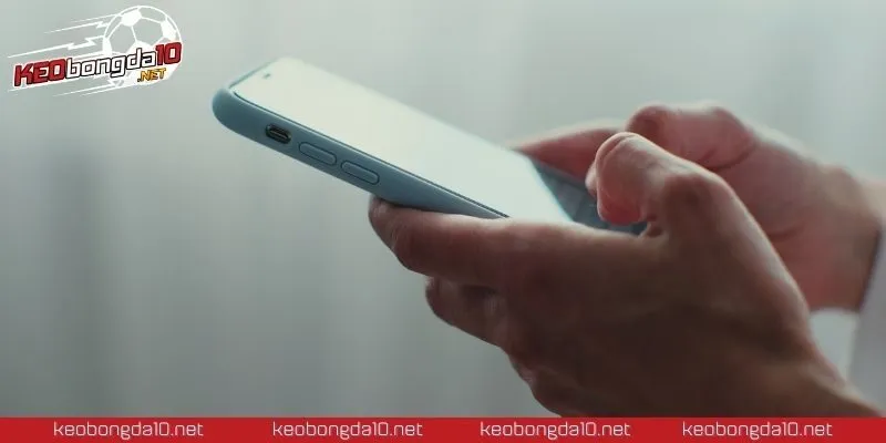 Các điều khoản sử dụng thiết lập khung quy định rõ ràng