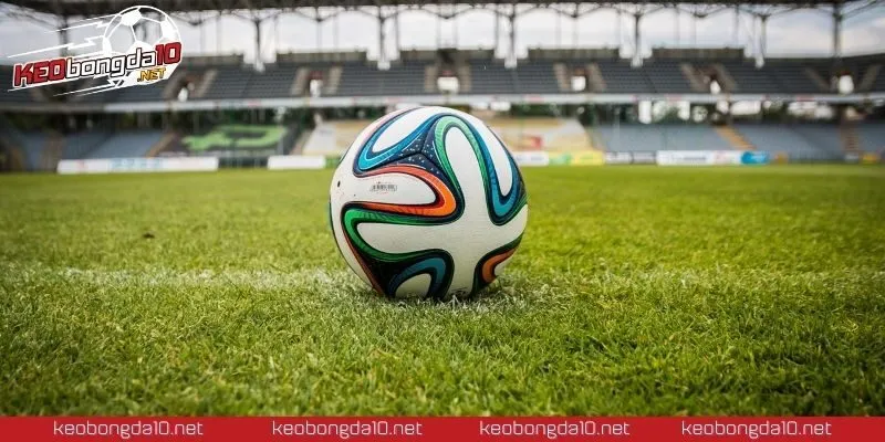 Chủ động đánh giá thông tin là cách cá cược an toàn và hiệu quả