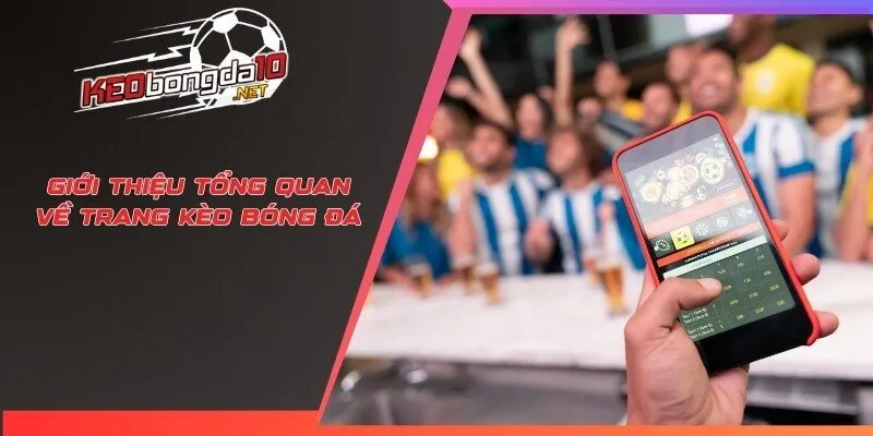 Giới thiệu tổng quan về trang kèo bóng đá