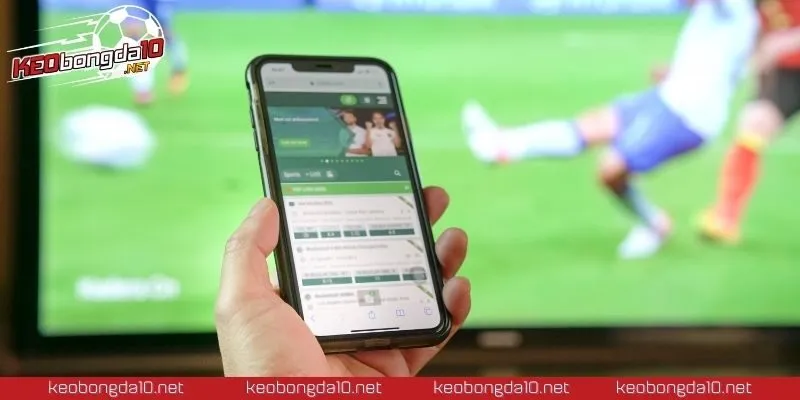 Hiểu rõ kèo rung hôm nay giúp bạn đặt cược chuẩn xác