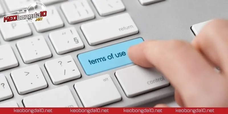 Hiểu rõ quyền lợi để cá cược an toàn và hiệu quả