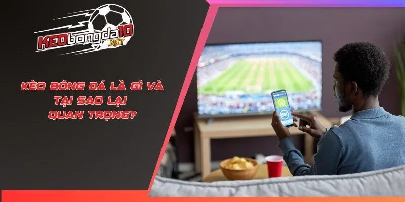 Kèo bóng đá là gì và tại sao lại quan trọng?