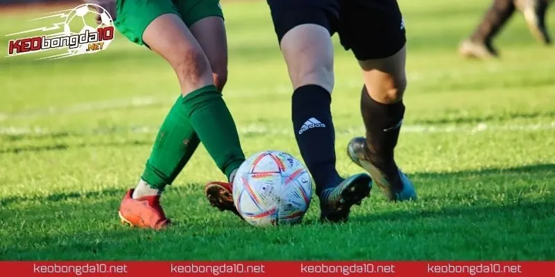 Kho dữ liệu bóng đá đầy đủ từ tỷ lệ kèo đến kết quả từng trận