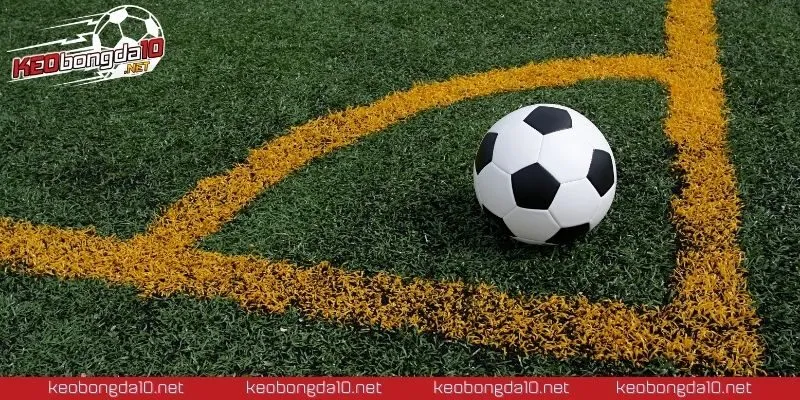Phân tích kỹ các yếu tố cả chủ quan lẫn khách quan