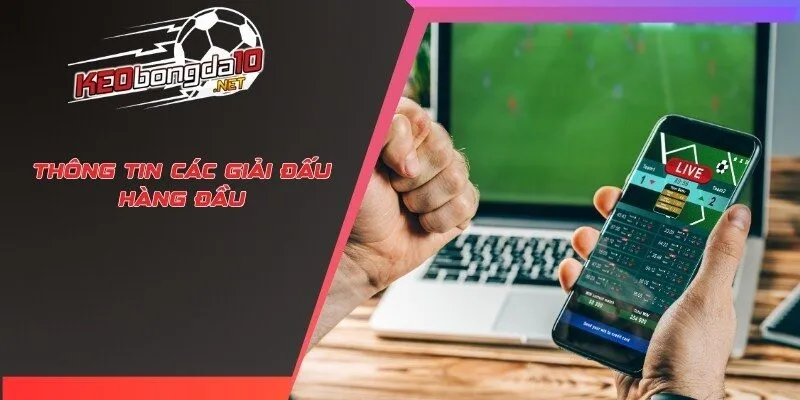Thông tin các giải đấu hàng đầu