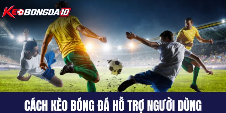 Kèo Bóng Đá hỗ trợ người chơi theo dõi trận đấu như thế nào? 