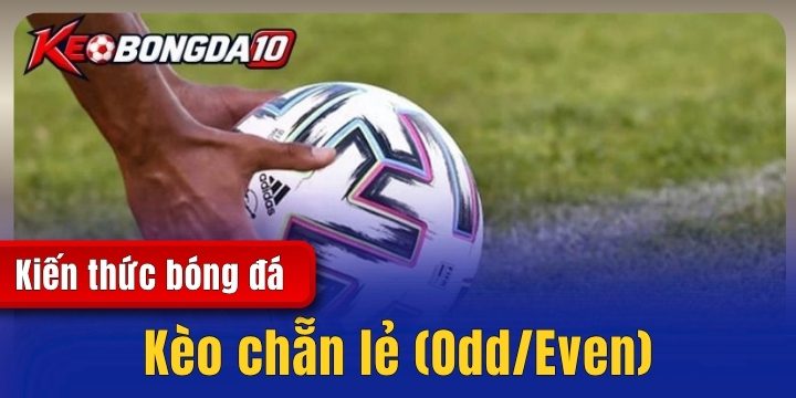 Kèo chẵn lẻ (Odd/Even) - Những quy định trong cá độ bóng đá