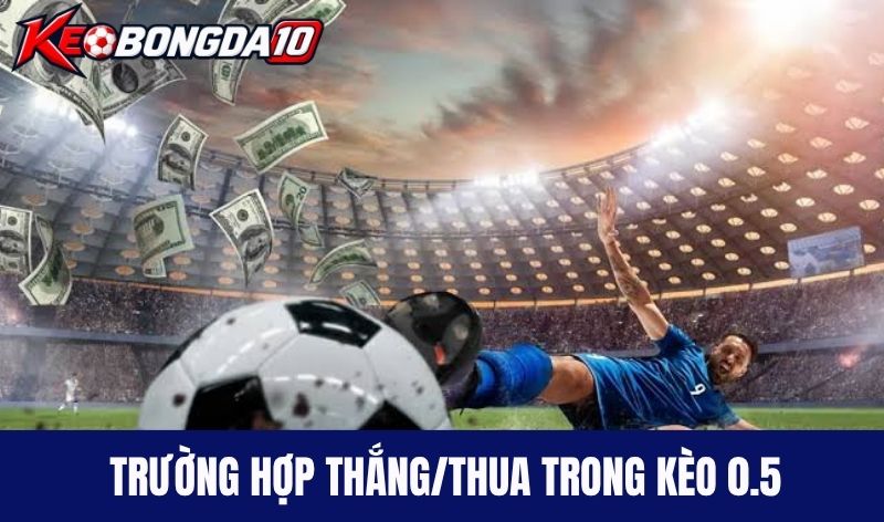 thang thua keo chap nua trai Trường hợp thắng/thua khi cược kèo chấp nửa trái